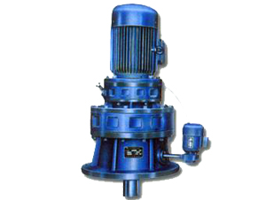 8000 series vertical cycloid reducer